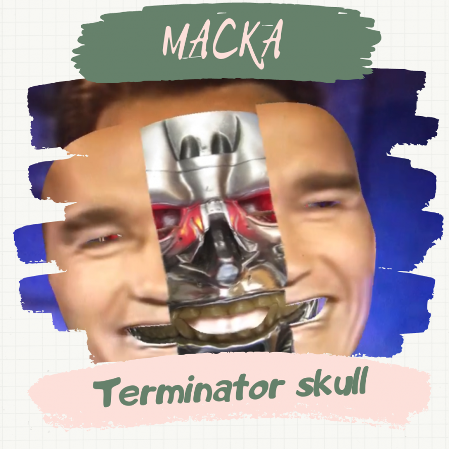 Маска « Terminator Skull».
