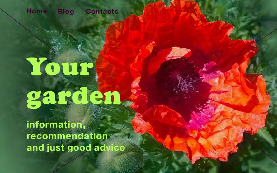 Header for website about gardening